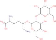 1,2 Alpha-glucosylgalactosyl-o-hydroxylysine
