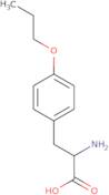 (S)-2-Amino-3-(4-propoxyphenyl)propanoic acid