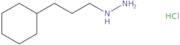 N-Isopropyl-N-pyrrolidin-3-yl-acetamide