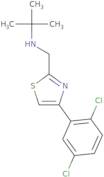 tert-Butyl({[4-(2,5-dichlorophenyl)-1,3-thiazol-2-yl]methyl})amine