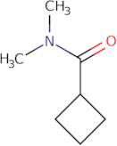 N,N-Dimethylcyclobutanecarboxamide