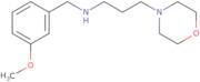 (3-Methoxy-benzyl)-(3-morpholin-4-yl-propyl)-amine