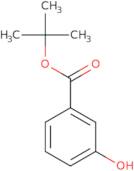 tert-Butyl 3-hydroxybenzoate