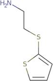 2-(Thiophen-2-ylsulfanyl)ethan-1-amine
