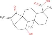 (1R,4S,5R,9R,10R)-11-Hydroxy-5,9-dimethyl-14-methylidene-15-oxotetracyclo[11.2.1.01,10.04,9]hexadecane-5-carboxylic acid