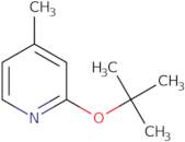 2-tert-Butoxy-p-picoline