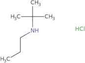 tert-Butyl(propyl)amine hydrochloride