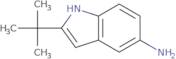 2-tert-Butyl-1H-indol-5-amine