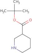 (S)-tert-Butyl piperidine-3-carboxylate