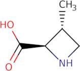 (2S,3R)-3-Methylazetidine-2-carboxylic acid