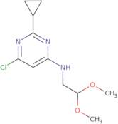 6-Chloro-2-cyclopropyl-N-(2,2-dimethoxyethyl)pyrimidin-4-amine