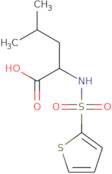 4-Methyl-2-(thiophene-2-sulfonamido)pentanoic acid