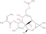 20-O-Acetylingenol-3-angelate