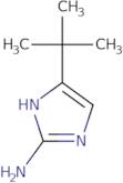 4-tert-Butyl-1H-imidazol-2-amine