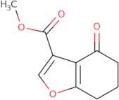 Methyl 4-oxo-4,5,6,7-tetrahydrobenzofuran-3-carboxylate