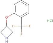 3-[2-(Trifluoromethyl)phenoxy] azetidine hydrochloride