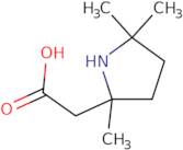 2-(2,5,5-Trimethylpyrrolidin-2-yl)acetic acid