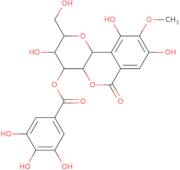 4-o-Galloylbergenin