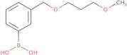 3-[(3-Methoxypropoxy)methyl]phenylboronic acid