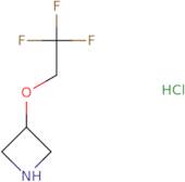 3-(2,2,2-Trifluoroethoxy)azetidine hydrochloride