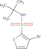 3-Bromo-N-tert-butylthiophene-2-sulfonamide