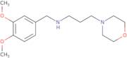 (3,4-Dimethoxy-benzyl)-(3-morpholin-4-yl-propyl)-amine