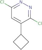 3,6-dichloro-4-cyclobutylpyridazine