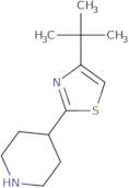 4-(4-tert-Butyl-1,3-thiazol-2-yl)piperidine