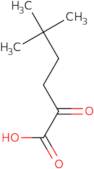 5,5-Dimethyl-2-oxohexanoic acid