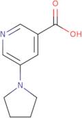 5-(Pyrrolidin-1-yl)pyridine-3-carboxylic acid