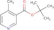 tert-Butyl 4-methylpyridine-3-carboxylate