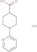 1-Pyridin-2-Yl-Piperidine-4-Carboxylic Acid Hydrochloride