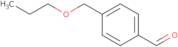 4-(Propoxymethyl)benzaldehyde