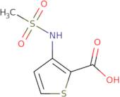 3-(Methylsulfonamido)-2-thiophenecarboxylic acid