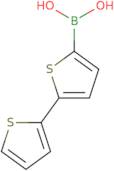 2,2'-Bithiophene-5-boronic acid