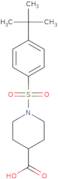 1-(4-tert-Butylbenzenesulfonyl)piperidine-4-carboxylic acid