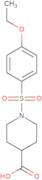 1-(4-Ethoxybenzenesulfonyl)piperidine-4-carboxylic acid