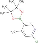 2-Chloro-4-methyl-5-(tetramethyl-1,3,2-dioxaborolan-2-yl)pyridine