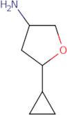 5-Cyclopropyloxolan-3-amine