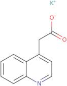 Potassium 2-(quinolin-4-yl)acetate