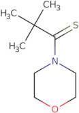 2,2-dimethyl-1-(morpholin-4-yl)propane-1-thione