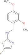 1-(2,4-dimethoxyphenyl)-N-(5-fluoro-2,3-dihydro-1,3-thiazol-2-ylidene)methanamine