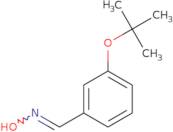 (E)-N-{[3-(tert-butoxy)phenyl]methylidene}hydroxylamine