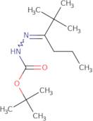 tert-Butyl 2-(2,2-dimethylhexan-3-ylidene)hydrazinecarboxylate