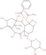 7-Xylosyl-10-deacetylbaccatin III