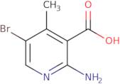 2-Amino-5-bromo-4-methylnicotinic acid