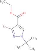 Ethyl 3-bromo-1-tert-butyl-1H-pyrazole-4-carboxylate