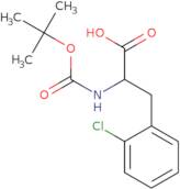 2-tert-Butoxycarbonylamino-3-(2-chloro-phenyl)-propionic acid