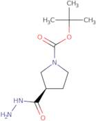 (R)-tert-Butyl 3-(hydrazinecarbonyl)pyrrolidine-1-carboxylate