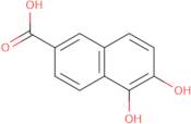 5,6-Dihydroxynaphthalene-2-carboxylic acid